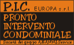 pic_logo
